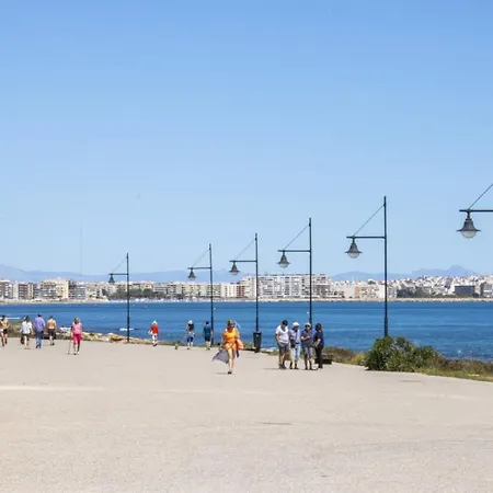 Apartamento Recoleta Id86 Torrevieja
