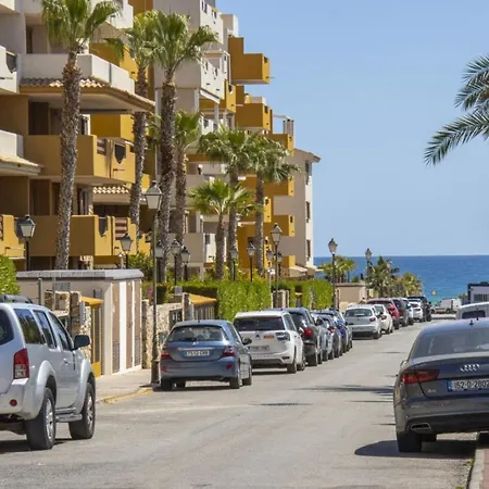 Recoleta Id86 * Torrevieja
